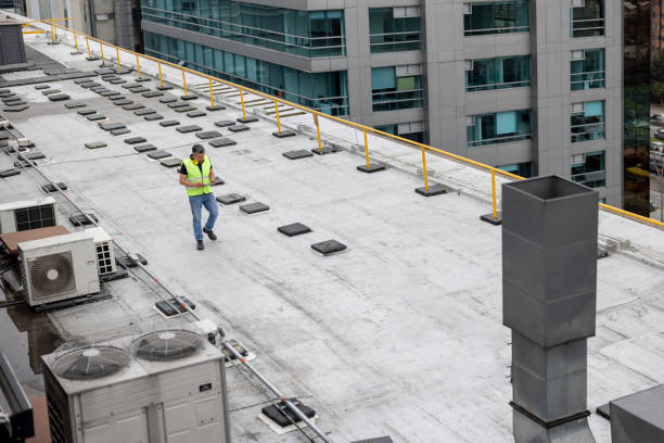 Best Skylight Installation and Repair  in Clifton Forge, VA