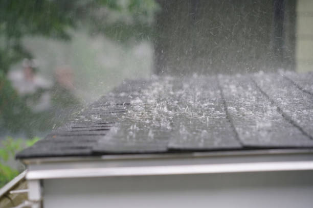 Best Metal Roofing Installation  in Clifton Forge, VA