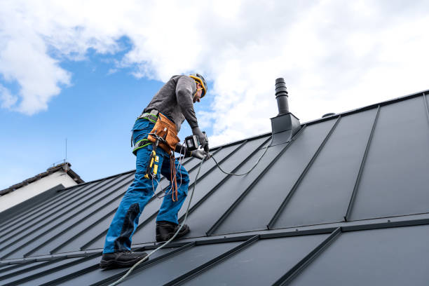 Best Skylight Installation and Repair  in Clifton Forge, VA