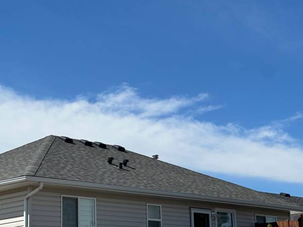Best Roof Coating and Sealing  in Clifton Forge, VA